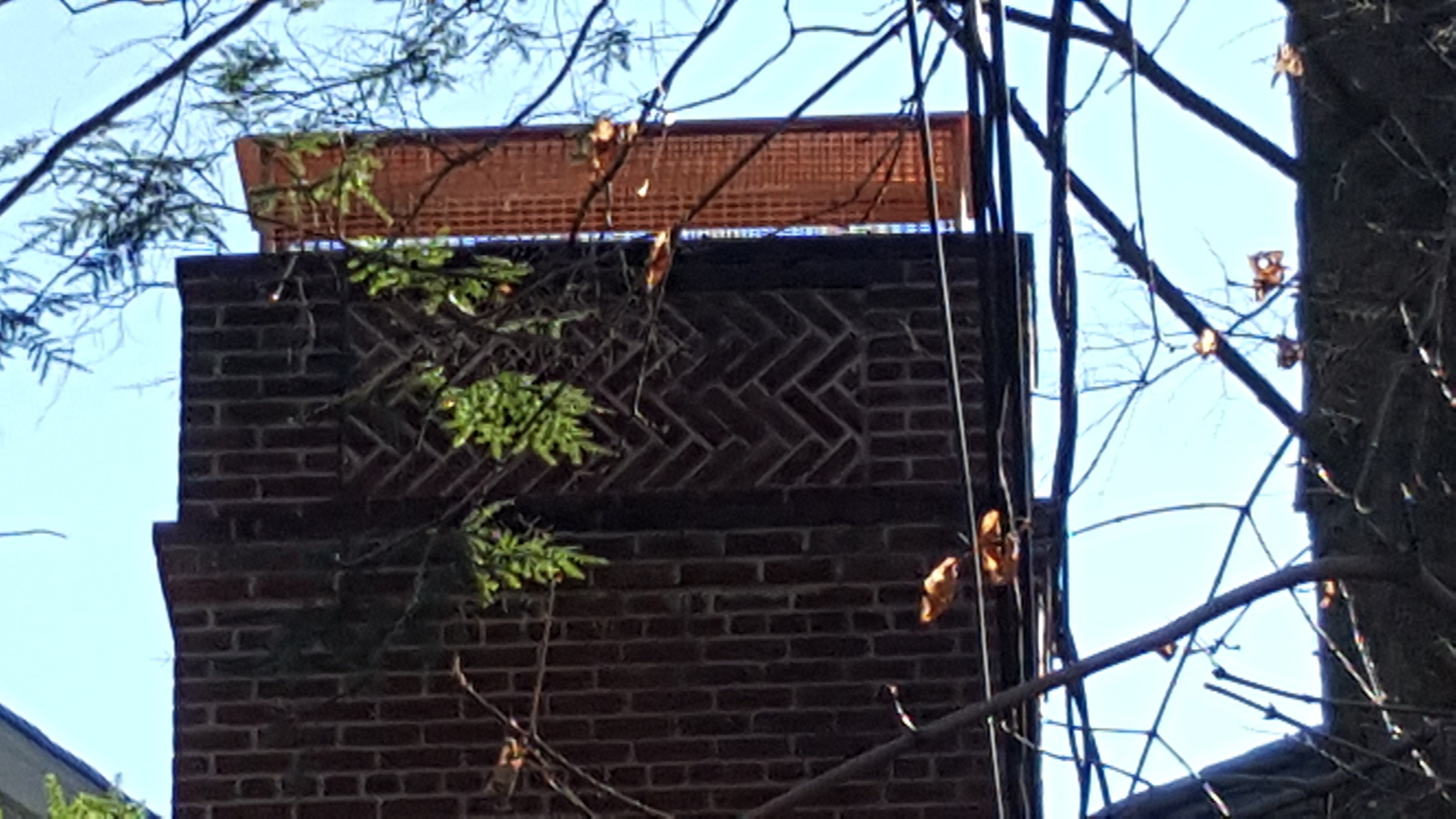 Animal-proof chimney cap protecting home in East Meadow, New York